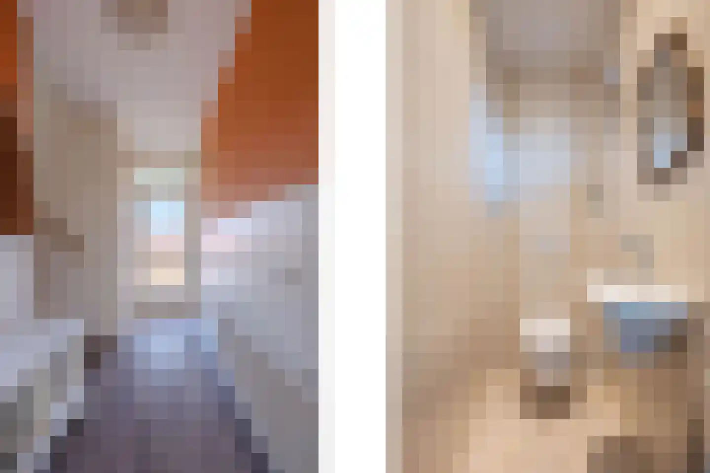 Bolderik 2 Venray thumbnail 4