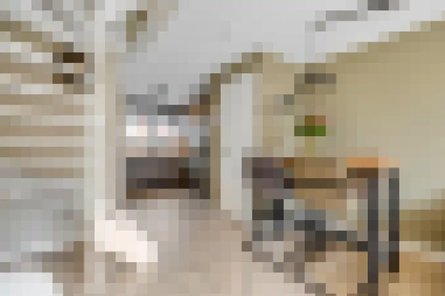 Bolderik 27 Oudenhoorn thumbnail 18