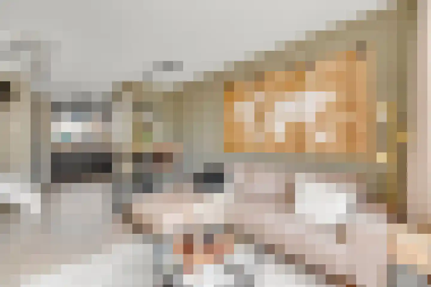 Bolderik 27 Oudenhoorn thumbnail 21