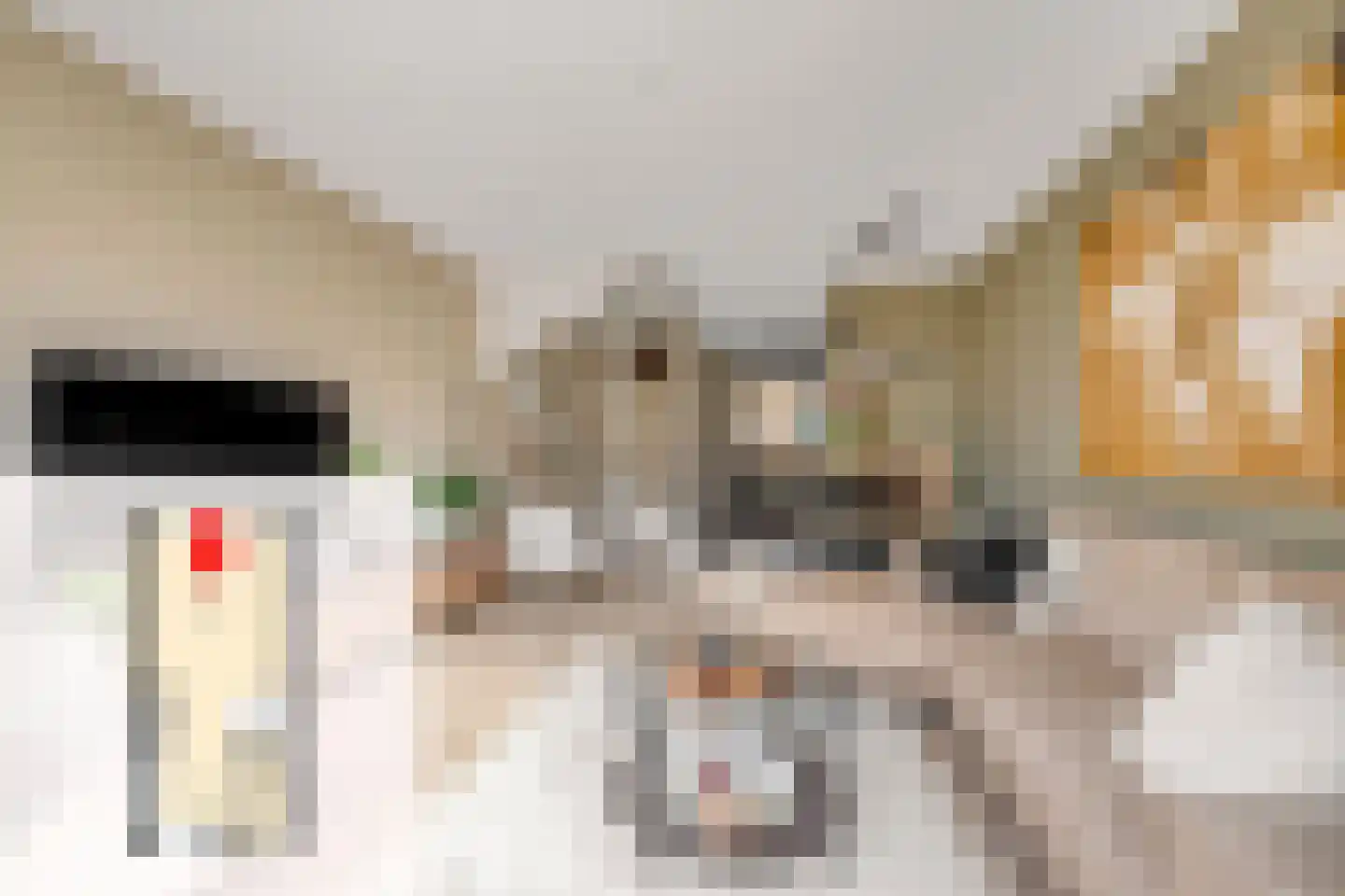 Bolderik 27 Oudenhoorn thumbnail 22