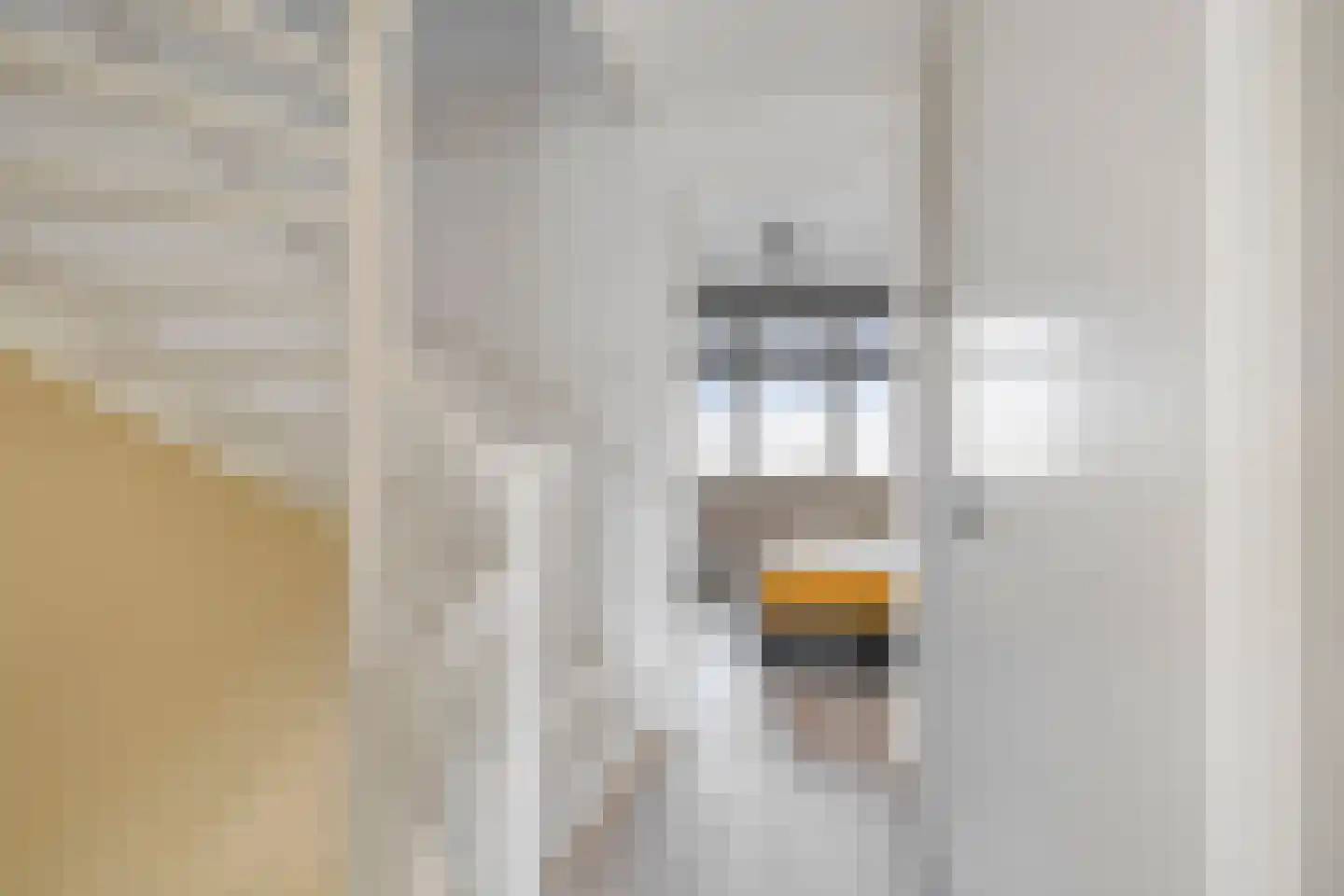 Bolderik 27 Oudenhoorn thumbnail 31