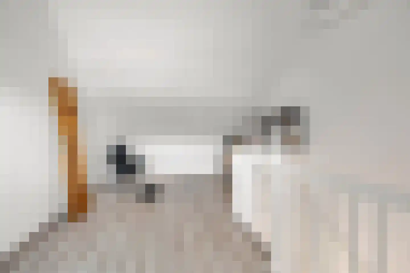 Bolderik 27 Oudenhoorn thumbnail 44