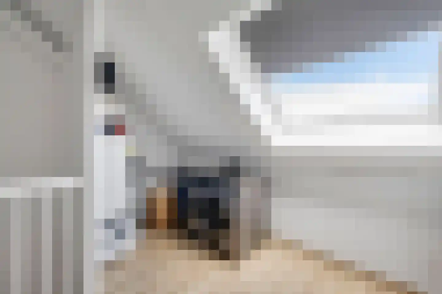 Bolderik 27 Oudenhoorn thumbnail 45