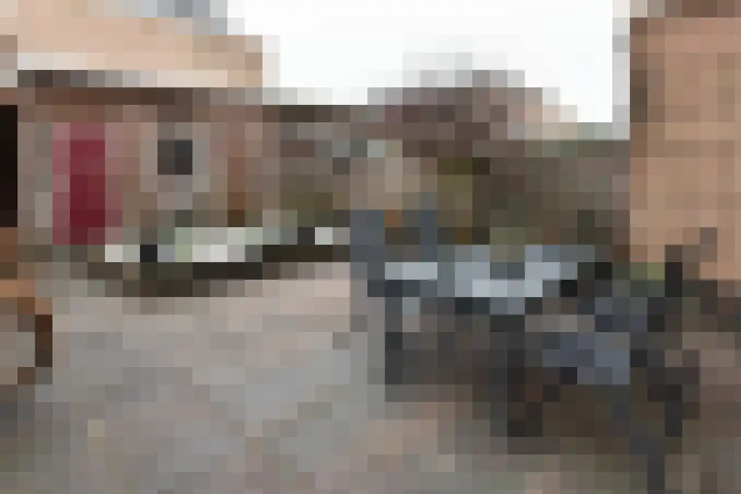 Bolderik 3 Mijdrecht thumbnail 25