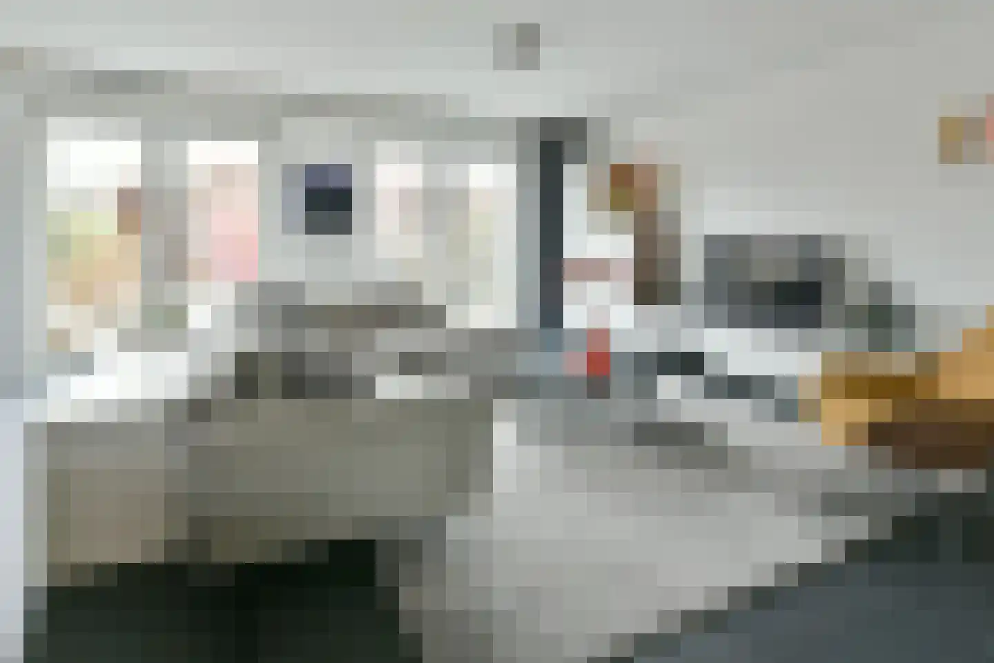 Bolderik 3 Mijdrecht thumbnail 8