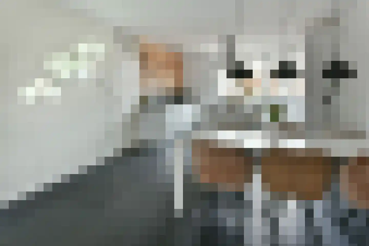 Bolderik 3 Mijdrecht thumbnail 9