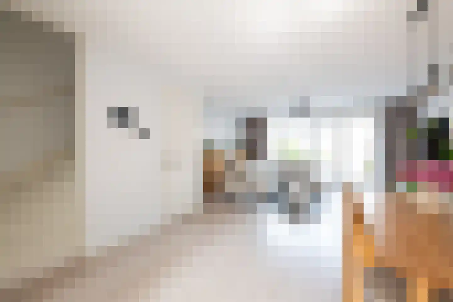 Bolderik 32 Oudenhoorn thumbnail 11
