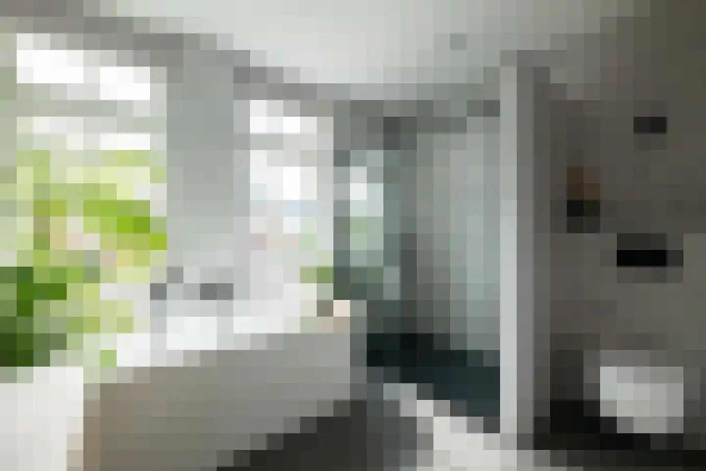 Bolderik 32 Oudenhoorn thumbnail 25