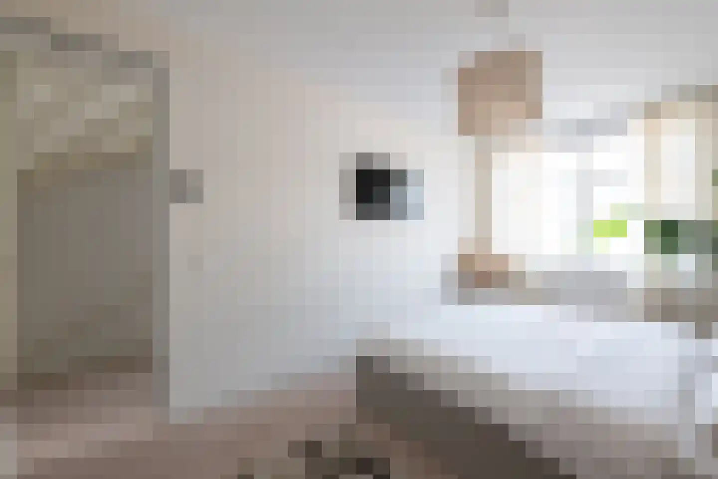 Bolderik 32 Oudenhoorn thumbnail 30