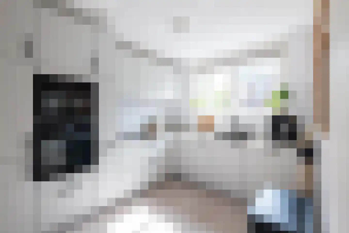 Bolderik 32 Oudenhoorn thumbnail 4