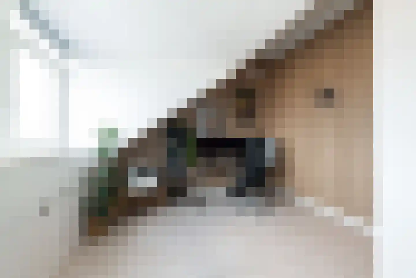 Bolderik 32 Oudenhoorn thumbnail 40