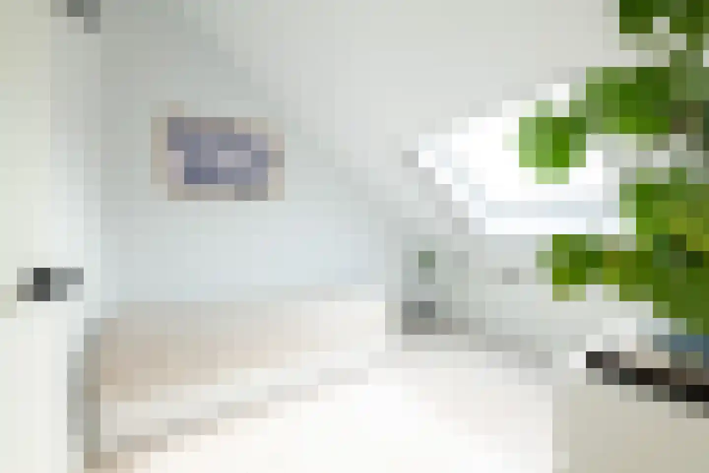 Bolderik 32 Oudenhoorn thumbnail 42