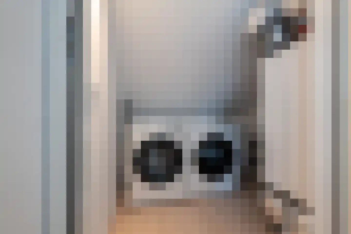 Bolderik 32 Oudenhoorn thumbnail 44