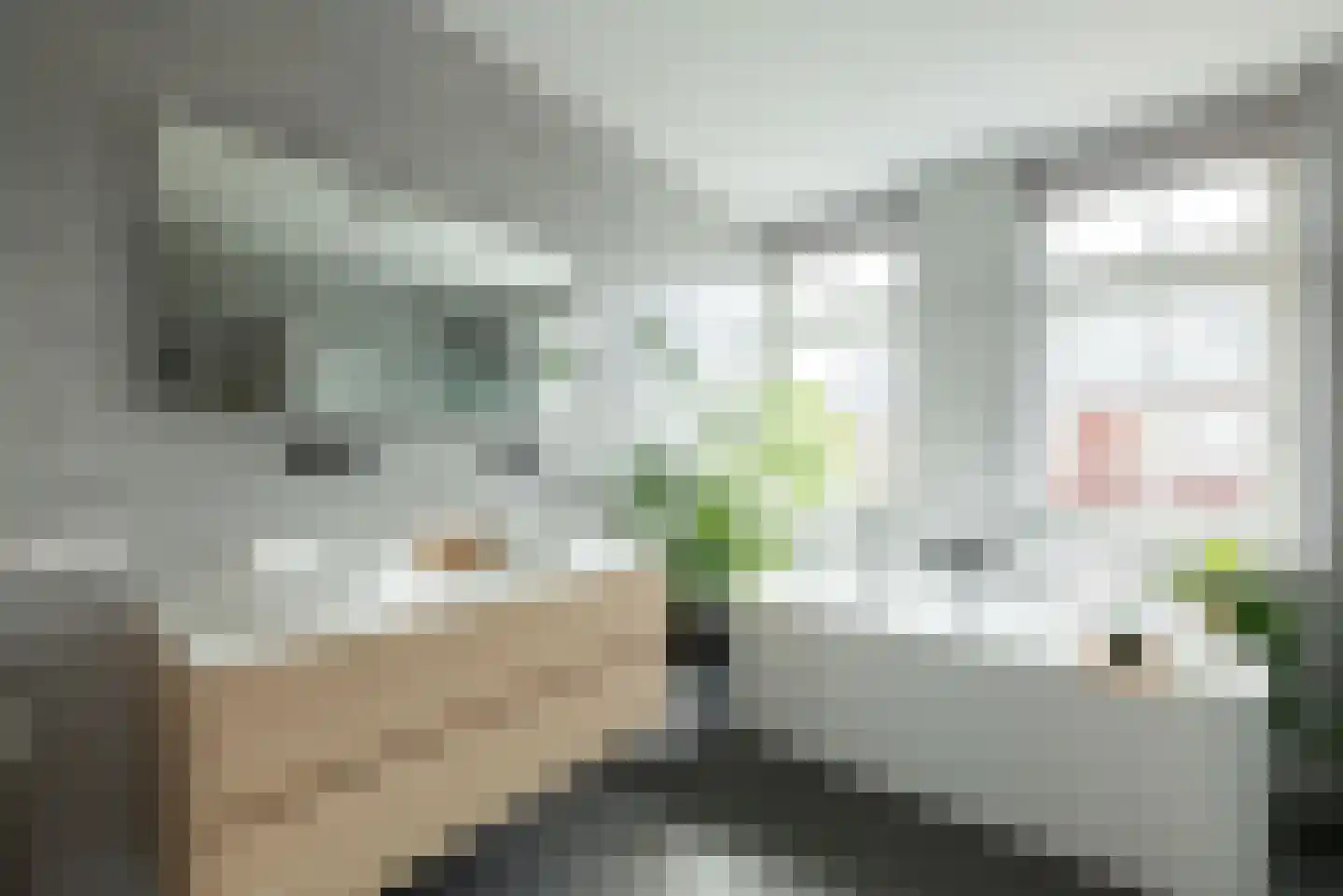 Bolderik 32 Oudenhoorn thumbnail 6