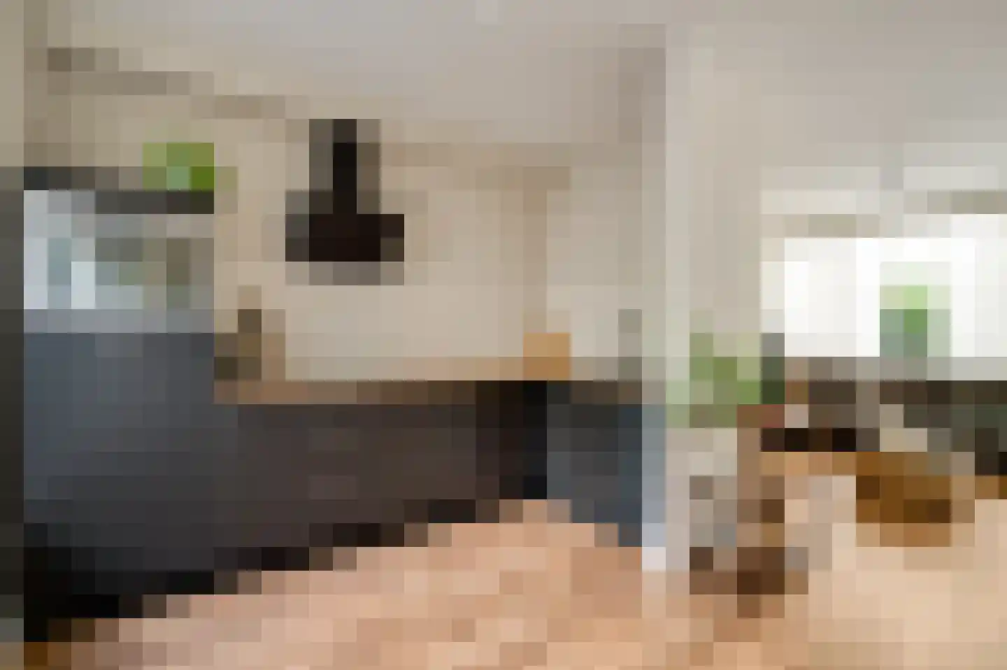 Bolderik 5 Maarheeze thumbnail 17