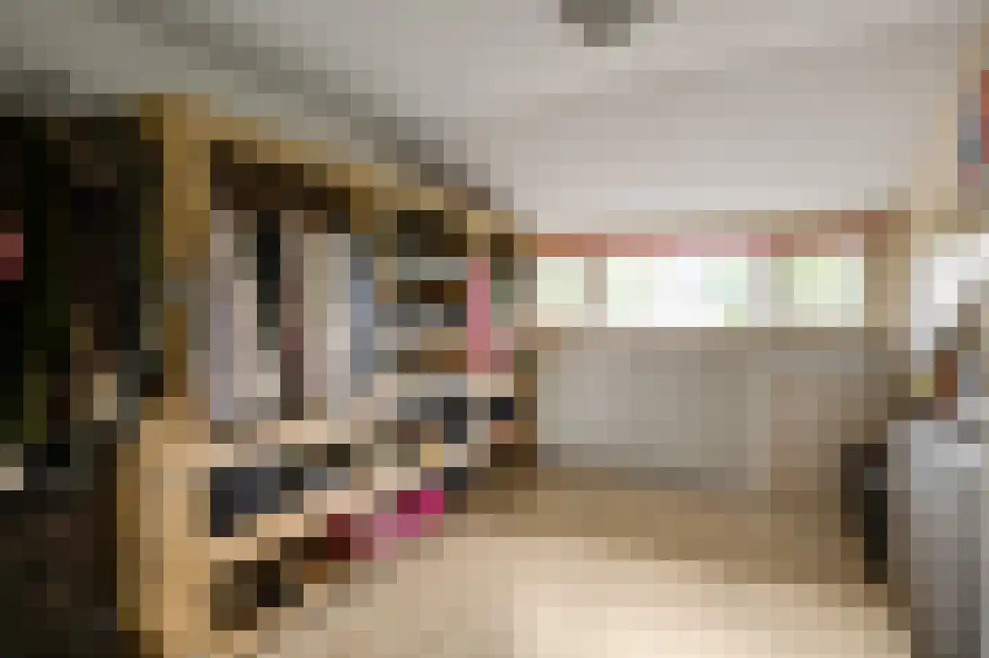 Bolderik 5 Maarheeze thumbnail 24