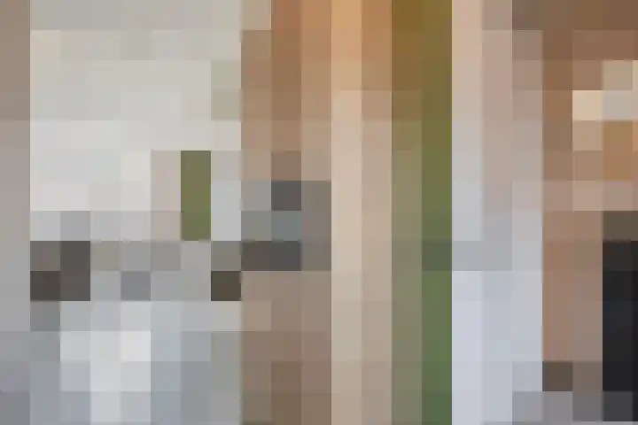 Bolderik 7 Oudenhoorn thumbnail 12