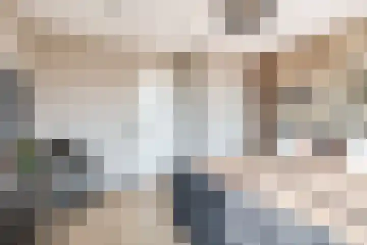 Bolderik 7 Oudenhoorn thumbnail 17