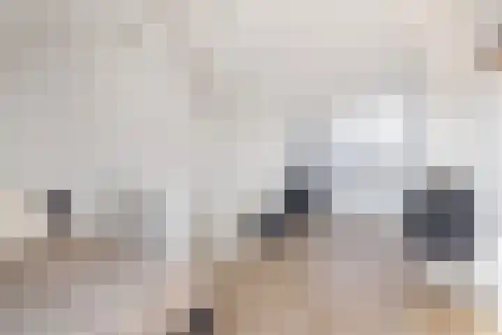 Bolderik 7 Oudenhoorn thumbnail 23
