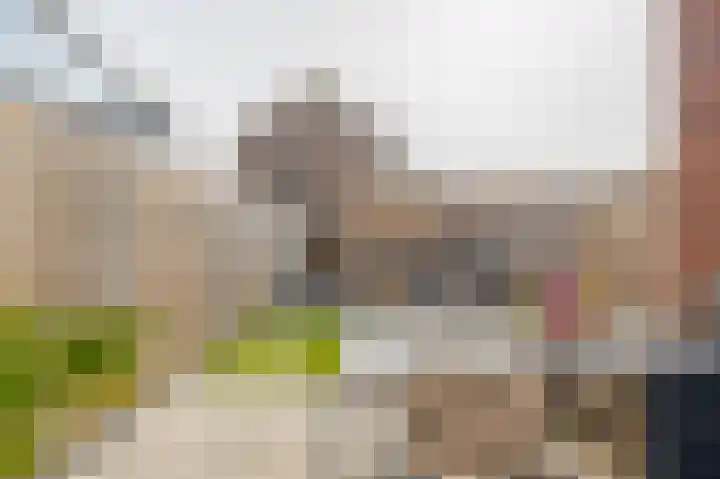 Bolderik 7 Oudenhoorn thumbnail 25