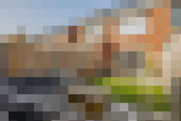 Bolderik 7 Oudenhoorn thumbnail 29