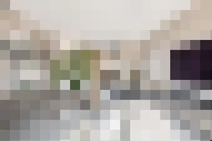 Bolderik 7 Oudenhoorn thumbnail 6