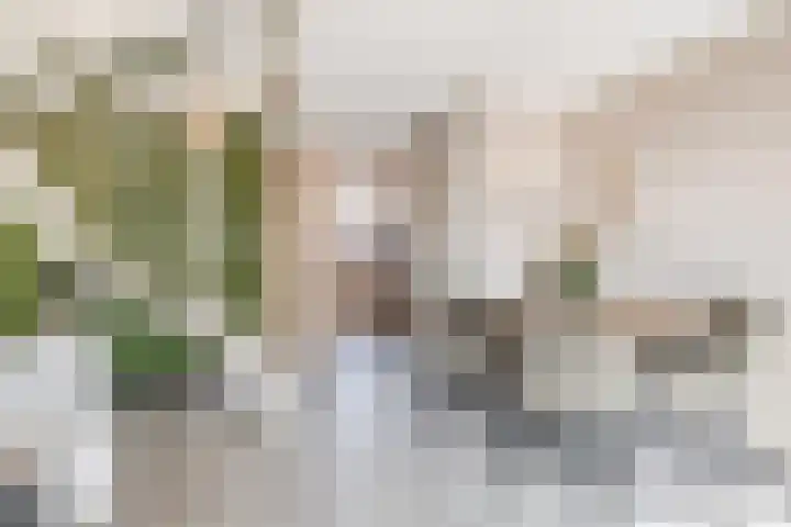 Bolderik 7 Oudenhoorn thumbnail 7