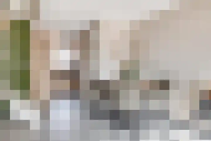 Bolderik 7 Oudenhoorn thumbnail 8