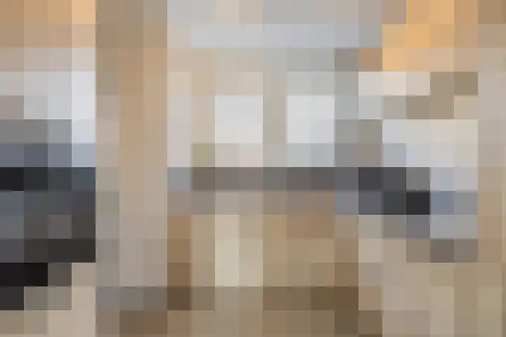 Bolderik 7 Oudenhoorn thumbnail 9
