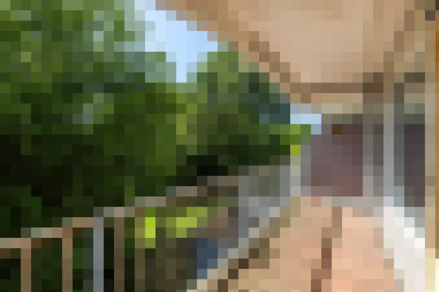 Bolderikkamp 118 Leiderdorp thumbnail 20