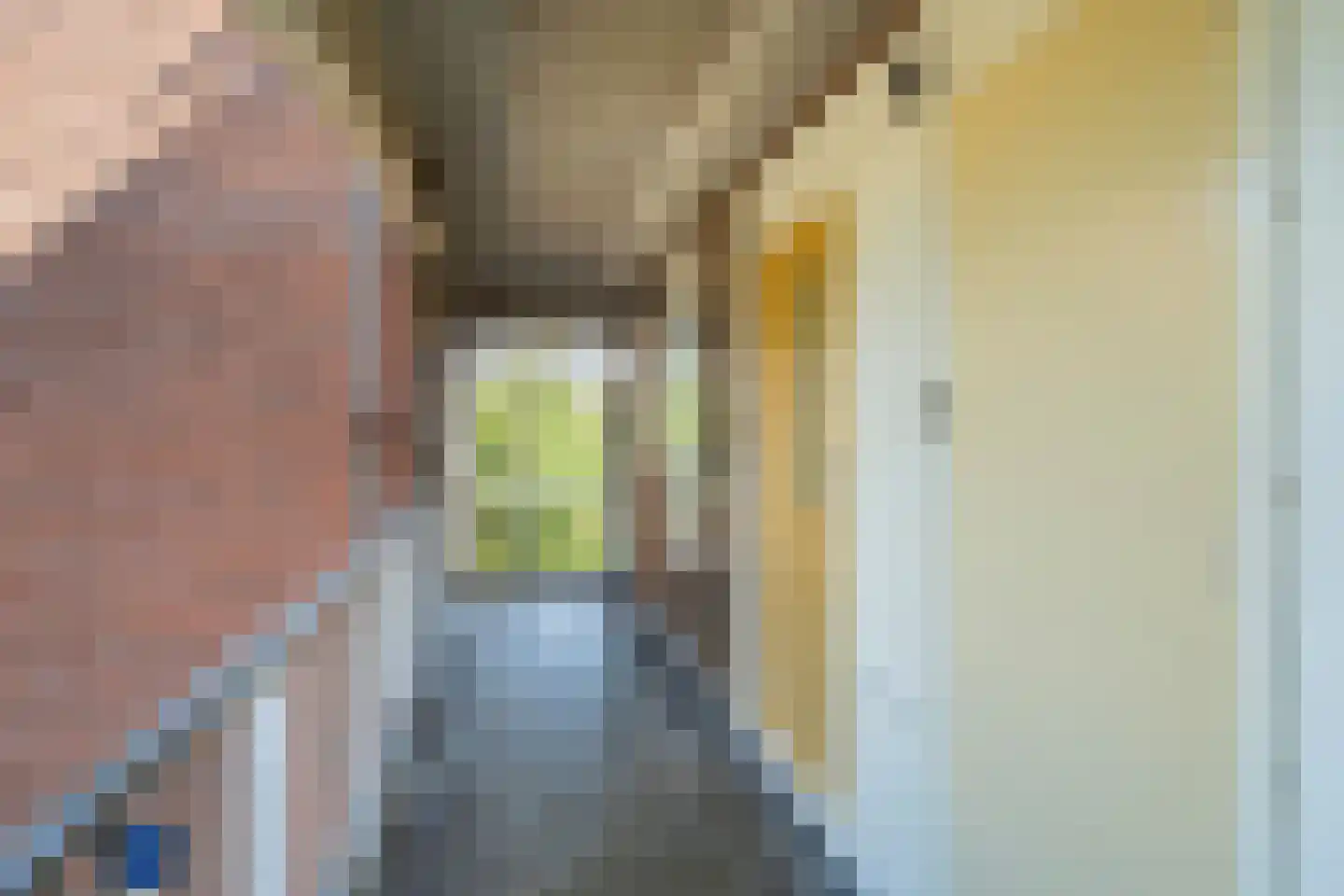 Bolderikkamp 118 Leiderdorp thumbnail 6