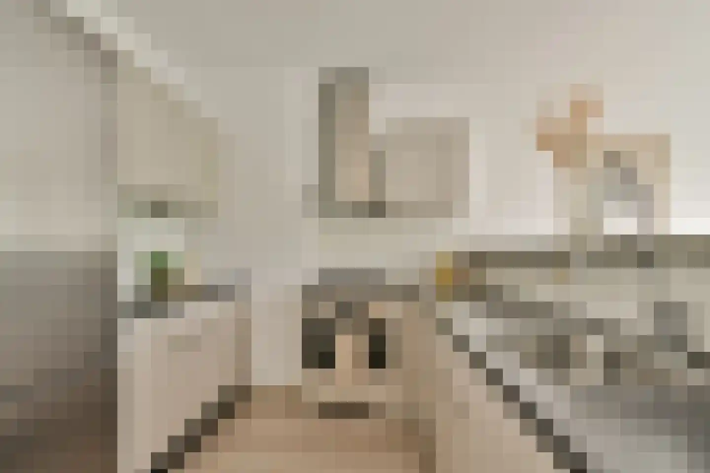 Bolderikkamp 142 Leiderdorp thumbnail 10