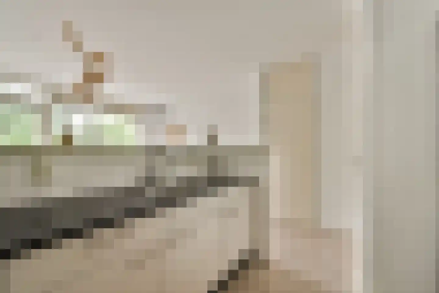 Bolderikkamp 142 Leiderdorp thumbnail 11