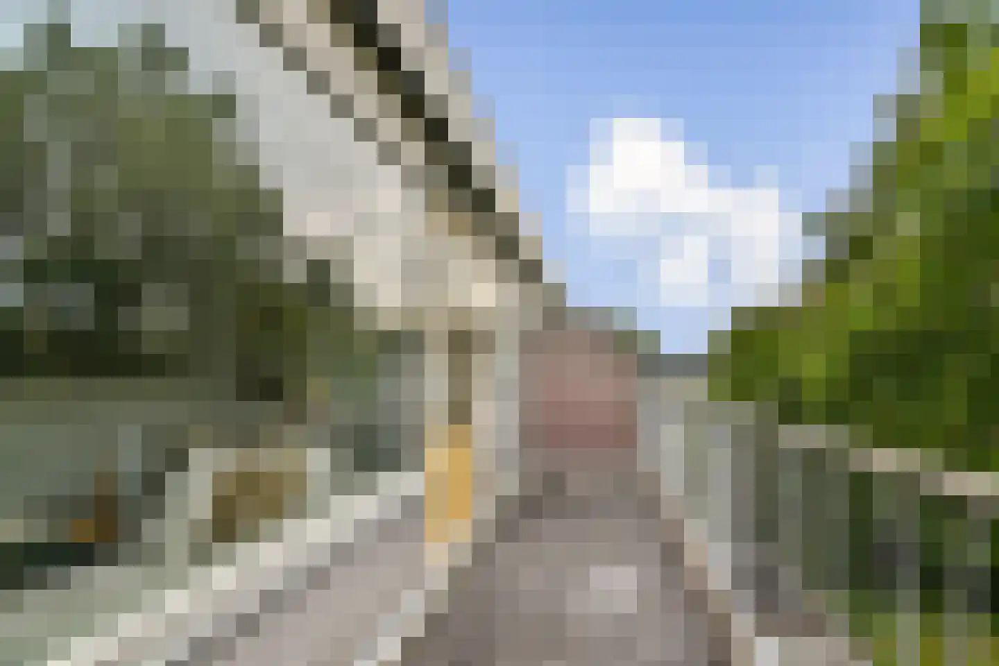 Bolderikkamp 142 Leiderdorp thumbnail 12