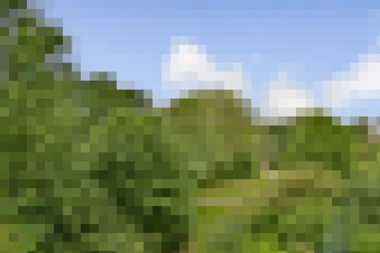 Bolderikkamp 142 Leiderdorp thumbnail 14
