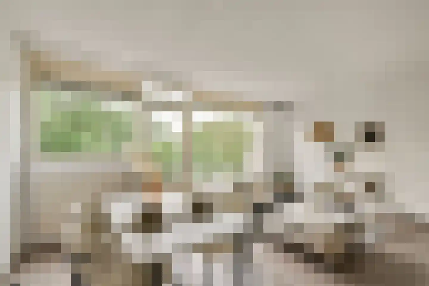 Bolderikkamp 142 Leiderdorp thumbnail 7