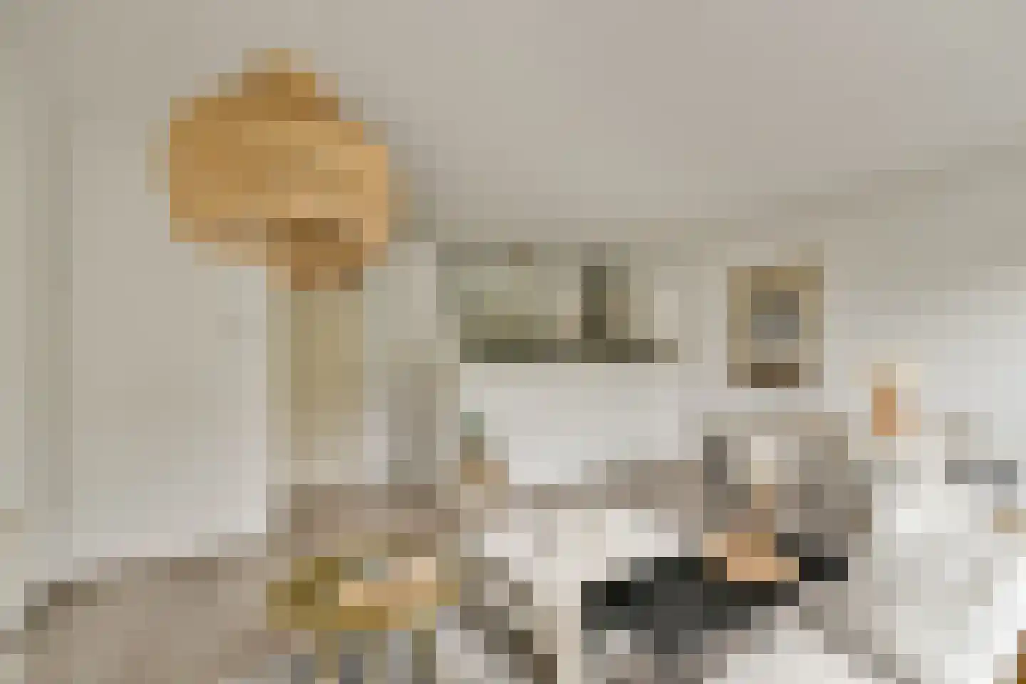 Bolderikkamp 142 Leiderdorp thumbnail 8