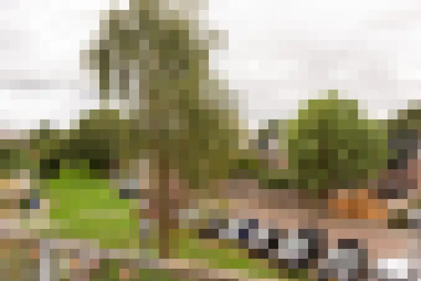 Bolderikkamp 30 Leiderdorp thumbnail 23
