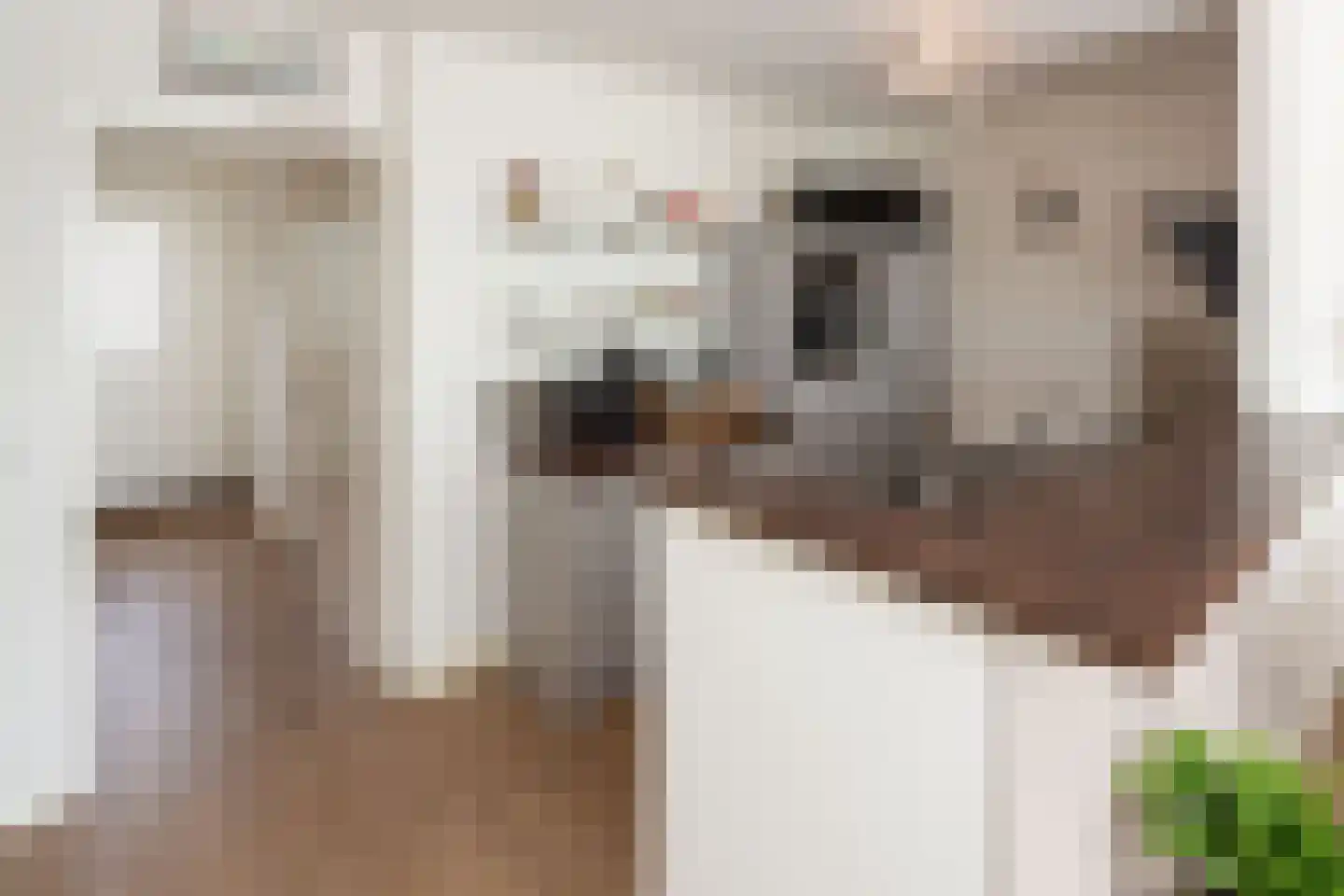 Bolderikkamp 30 Leiderdorp thumbnail 6