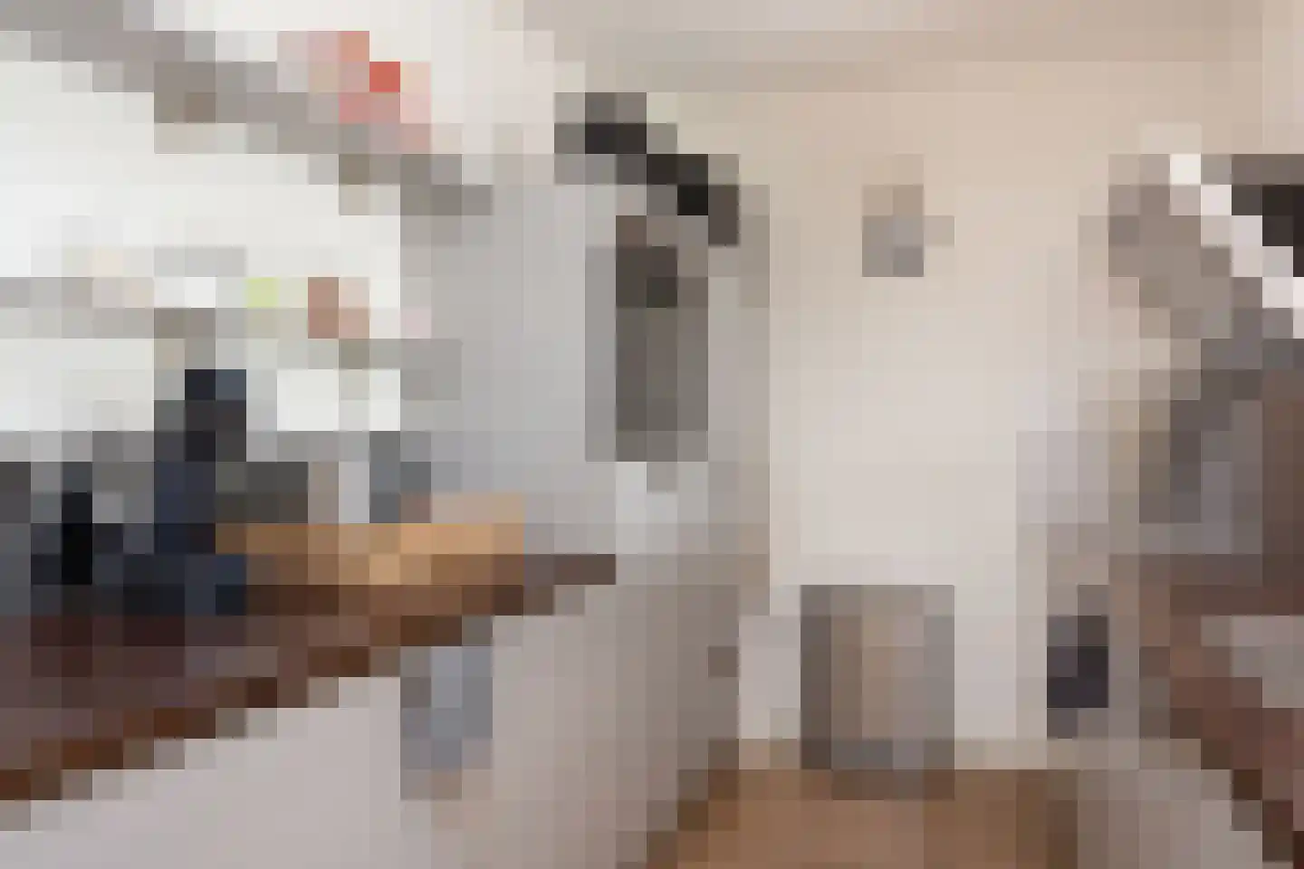 Bolderikkamp 30 Leiderdorp thumbnail 8