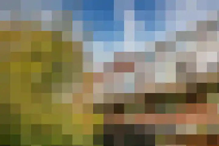 Bolderikkamp 39 Leiderdorp