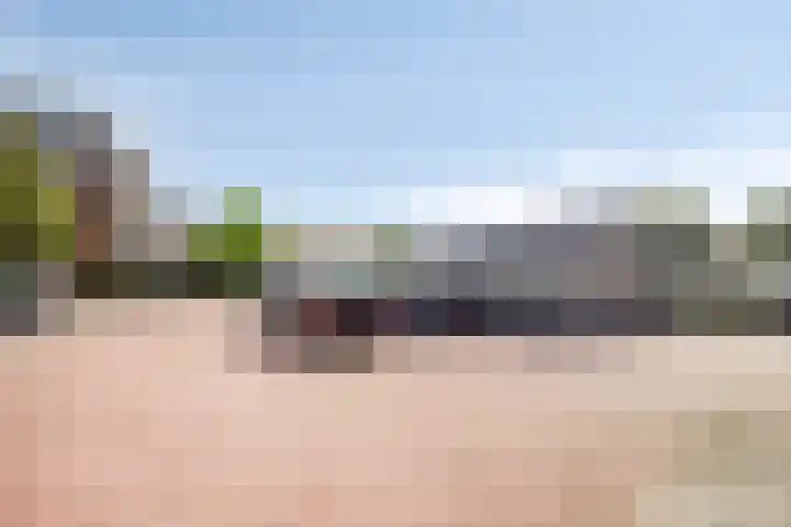 Bolderikkamp 39 Leiderdorp thumbnail 11