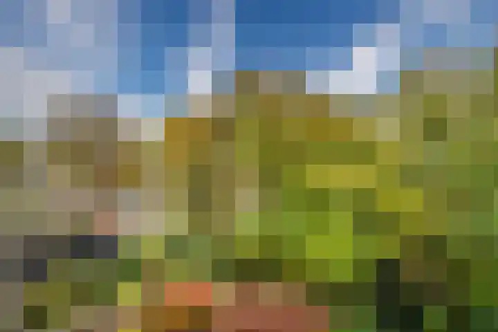 Bolderikkamp 39 Leiderdorp thumbnail 17