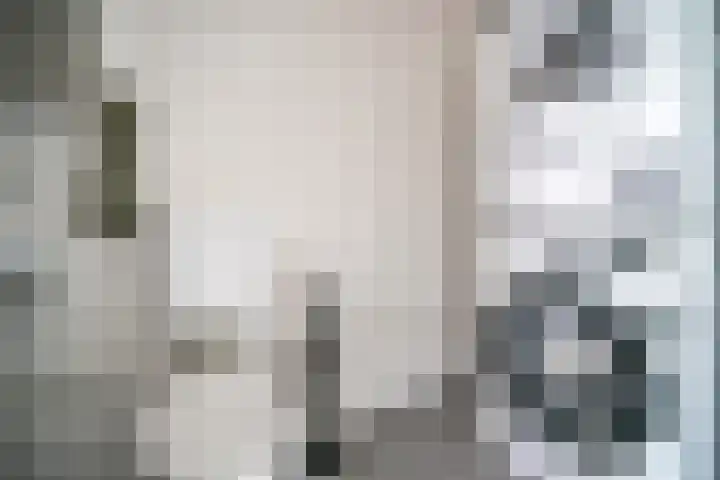 Bolderikkamp 39 Leiderdorp thumbnail 20