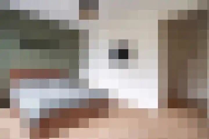 Bolderikkamp 39 Leiderdorp thumbnail 24