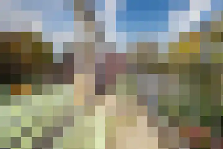 Bolderikkamp 39 Leiderdorp foto 3