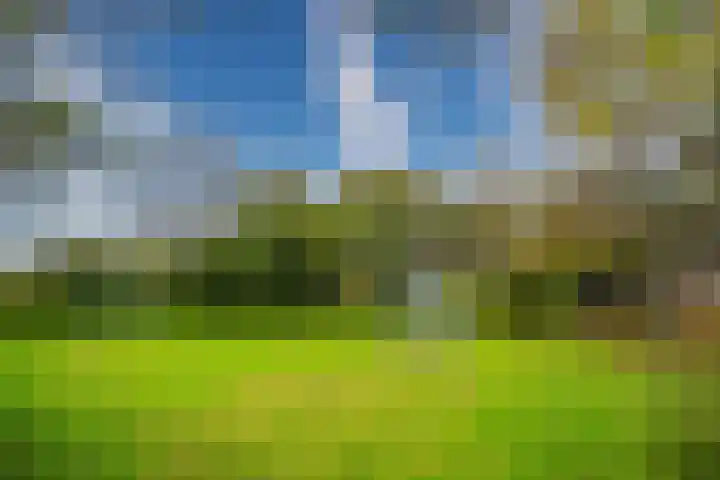 Bolderikkamp 39 Leiderdorp thumbnail 31