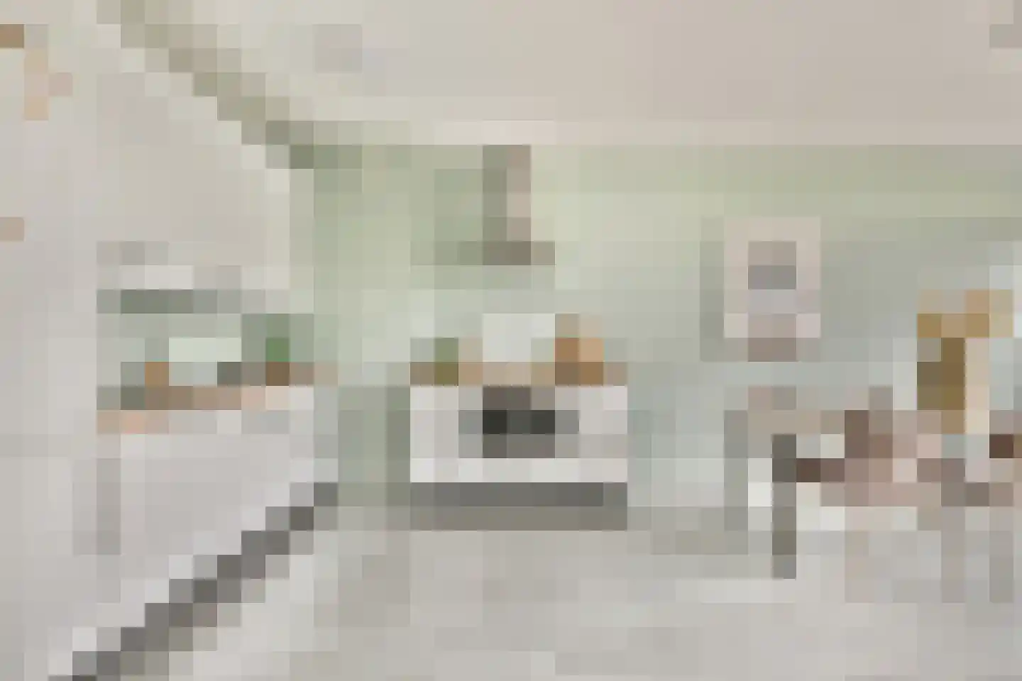 Bolderikkamp 46 Leiderdorp thumbnail 10