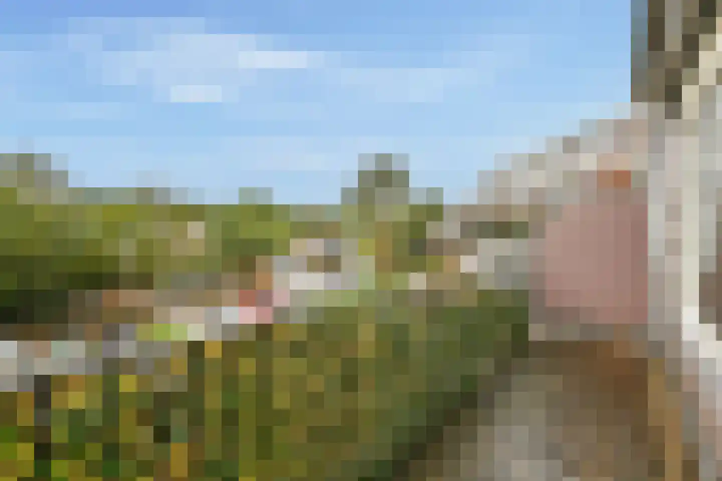 Bolderikkamp 46 Leiderdorp thumbnail 15