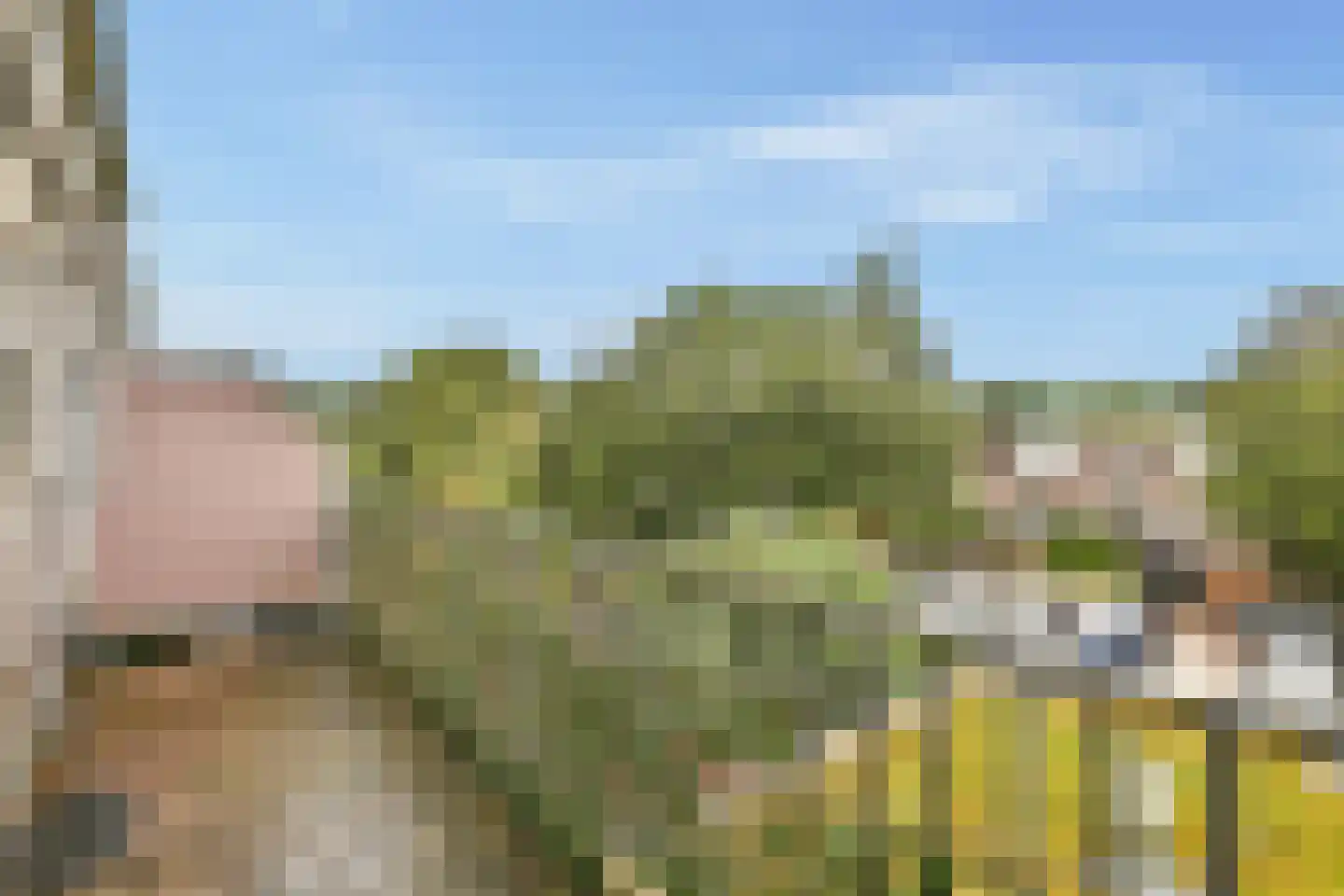 Bolderikkamp 46 Leiderdorp thumbnail 16